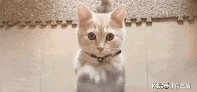 不忘49岁谢贤节目自曝私密往事开元棋牌分手8年Coco仍念念(图9)